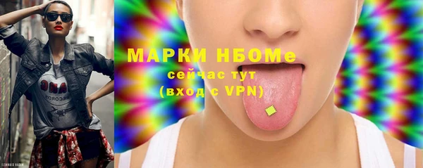 соль ск Пересвет