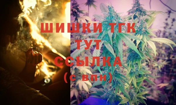 соль ск Пересвет