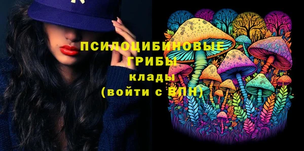 мескалин Переславль-Залесский
