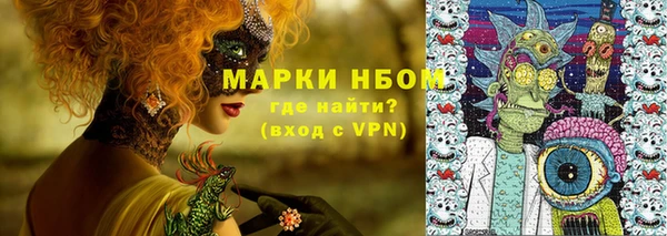 соль ск Пересвет
